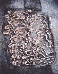 Gondole site, France (Iron Age) multiple burial. Copywright Ulysse Cabezuelo / Inrap 2002